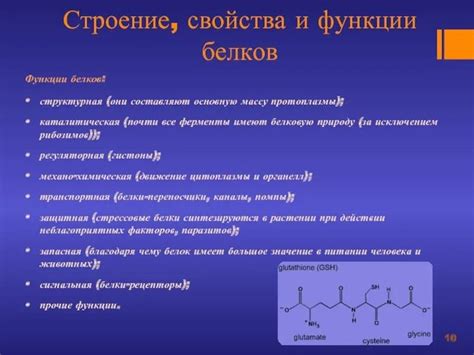 Особенности состава и структуры трайфлов