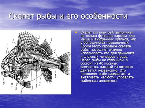 Особенности трактовки символа селедки в мечтах женщин