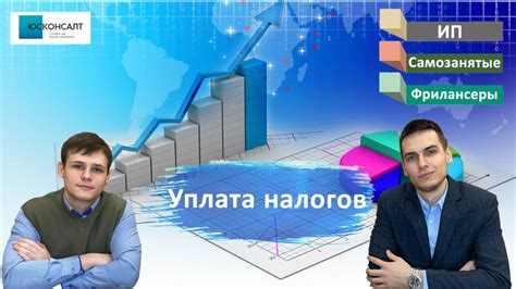 Особенности уплаты налогов ИП