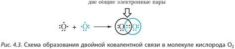 Особенности химической связи в молекуле анилина