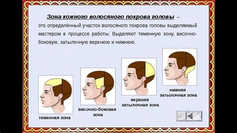 Осторожность при стрижке ушей и затылка