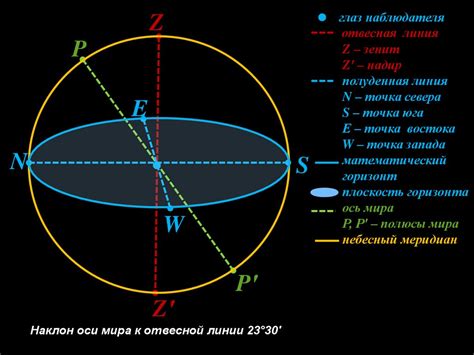 Осьминог в небесной сфере: предзнаменование перемены и метаморфоз