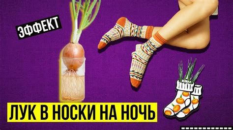 Отзывы о луке в носках на ночь