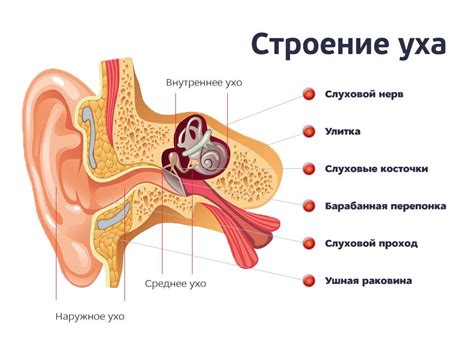 Отит внешнего уха