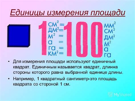 Отличие гектара от других единиц измерения площади