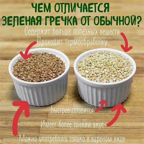 Отличительные черты гречки коричневой