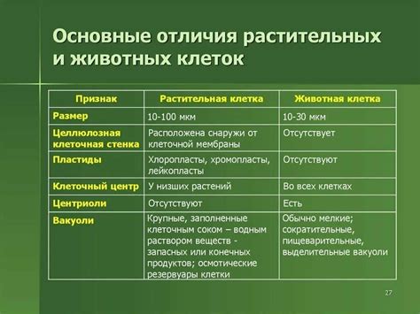 Отличительные черты клеток у разных растений