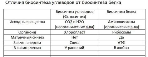 Отличия биосинтеза углеводов и биосинтеза белков