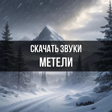 Отличия вьюги и метели