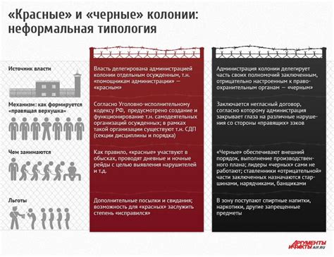 Отличия между тюрьмой и зоной пользователей: в чем принципиальная разница?