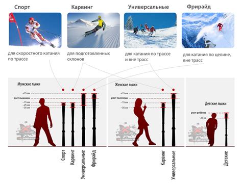 Отличия мужских и женских лыж в соннике: как правильно подобрать