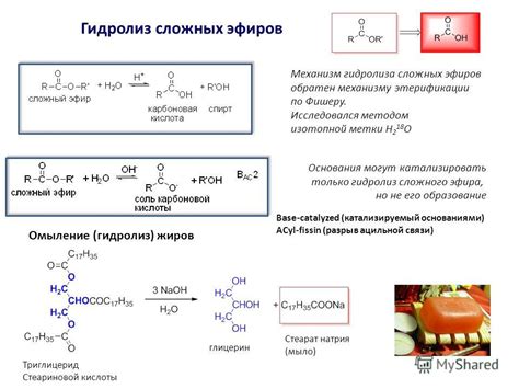 Отличия сложных эфиров от карбоновых кислот