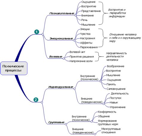 Отражение биологических процессов или выражение внутреннего состояния?
