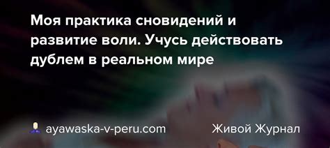 Отражение желаний и идеалов: встреча с идеальной собеседницей в мире сновидений