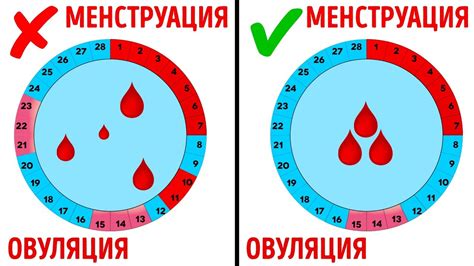 Отражение эмоционального состояния во сне о месячных