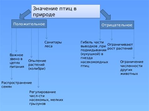 Отрицательное значение птиц в сновидениях