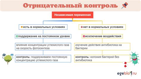 Отсутствие отрицательного контроля