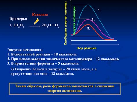 Отсутствие спонтанной реакции