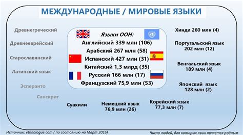 Официальные языки ООН и их значимость