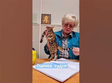 Оценка стоимости котят