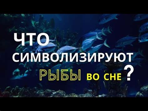 Ощутить звуки рыбы во сне