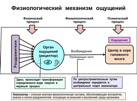 Ощущение обузы и зависимости от внешних условий