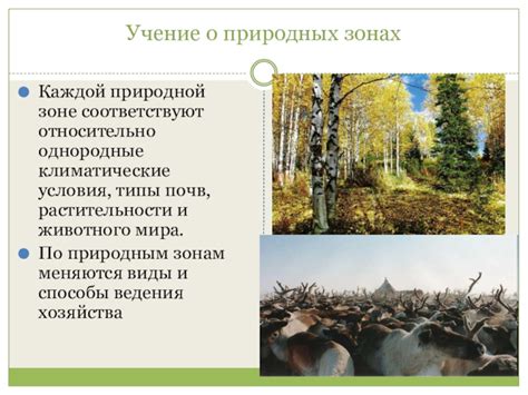 О чем говорит сон о природной зоне в окружении растительности?