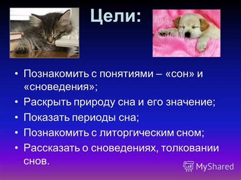 Парадоксы и противоречия в значении и толковании снов о эссекском коте