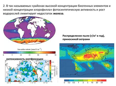 Параметры температуры и их влияние на рост водорослей