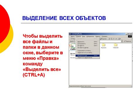 Параметр порядок объектов: определяющий фактор в данном окне