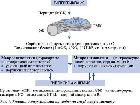 Патологическое воздействие гипергликемии на сосудистую систему