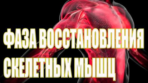 Первая фаза восстановления