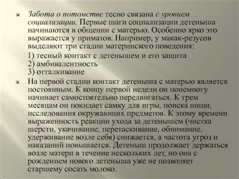 Первые шаги в общении с душой предки: наставления по воссоединению