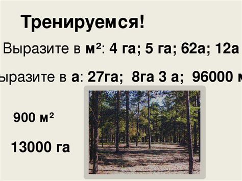 Перевод квадратных метров в сотки: формулы и расчеты