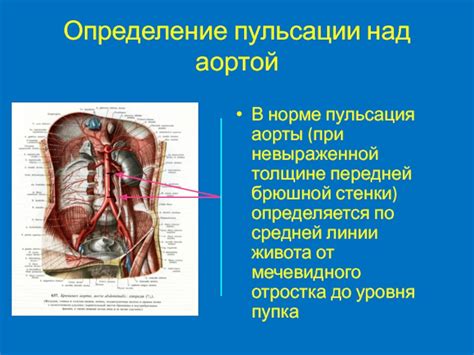 Передаточная пульсация аорты: определение и симптомы