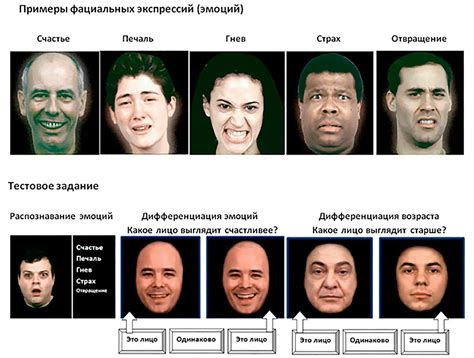 Передача эмоций на расстоянии