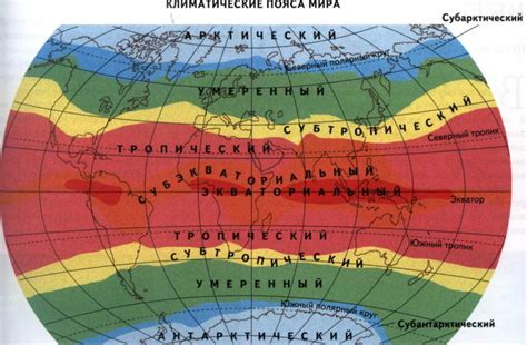 Переходные пояса: что это такое и их значение в географии 7 класса