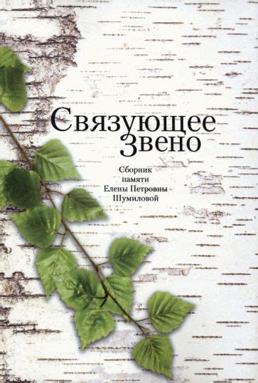 Переход через связующее звено: символичность сна о переходе на важные этапы жизни