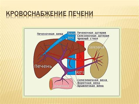 Печеночное заболевание