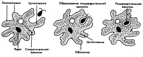 Питание при небольших задержках