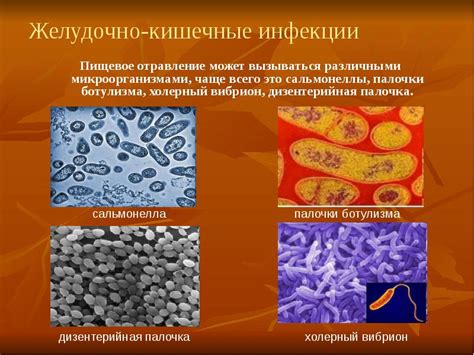 Пищевое отравление и желудочно-кишечные инфекции