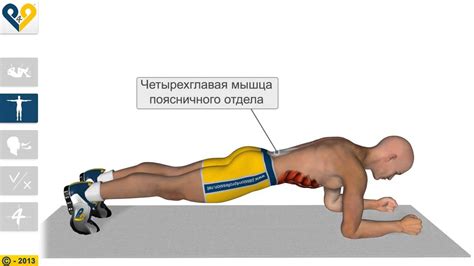 Планка - универсальное упражнение для пресса и мышц спины