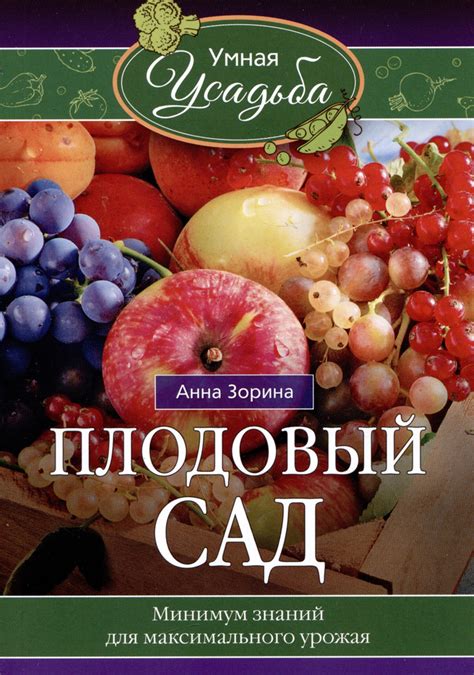 Плодовый сад: оптимальное место для работы в команде