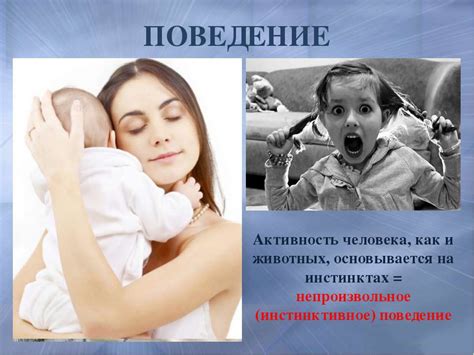 Поведение, основанное на инстинктах