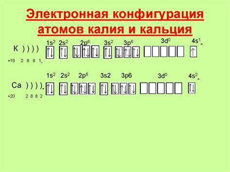 Поведение ионов кальция и атомов кальция в реакциях