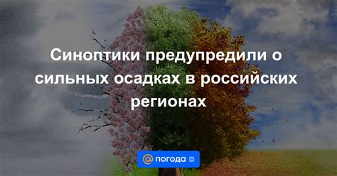 Повторяющиеся разборы снов о интенсивных осадках