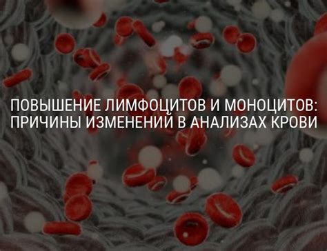 Повышение лимфоцитов: причины