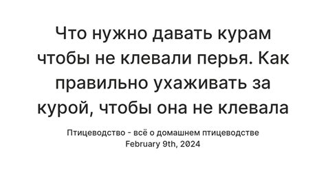 Погоня за курой: самое главное в мыслях петуха