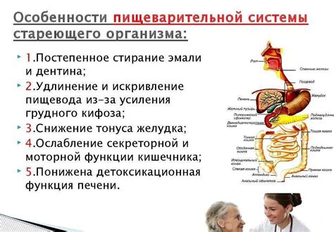 Подготовка организма к приему препаратов железа