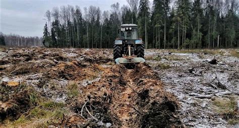 Подготовка почвы осенью в Подмосковье